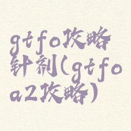 gtfo攻略针剂(gtfoa2攻略)