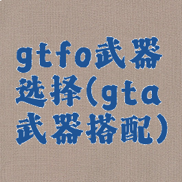 gtfo武器选择(gta武器搭配)