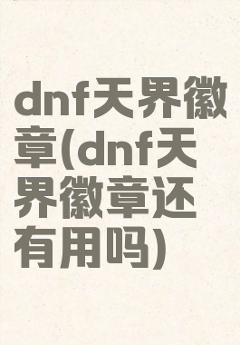 dnf天界徽章(dnf天界徽章还有用吗)