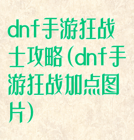 dnf手游狂战士攻略(dnf手游狂战加点图片)