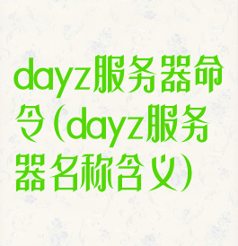dayz服务器命令(dayz服务器名称含义)