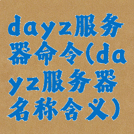 dayz服务器命令(dayz服务器名称含义)