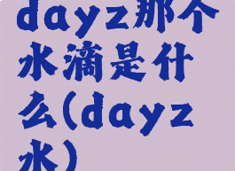 dayz那个水滴是什么(dayz水)