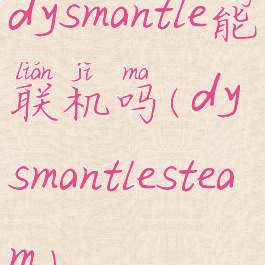 dysmantle能联机吗(dysmantlesteam)