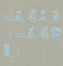 mc迷彩大图(mc迷彩种类)