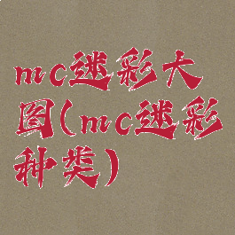 mc迷彩大图(mc迷彩种类)