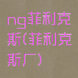 ng菲利克斯(菲利克斯厂)