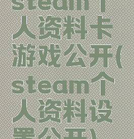 steam个人资料卡游戏公开(steam个人资料设置公开)