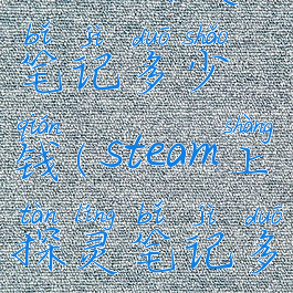 steam探灵笔记多少钱(steam上探灵笔记多少钱)