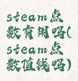 steam点数有用吗(steam点数值钱吗)