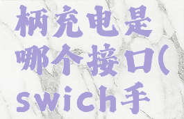 swich手柄充电是哪个接口(swich手柄充电)