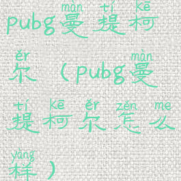 pubg曼提柯尔(pubg曼提柯尔怎么样)