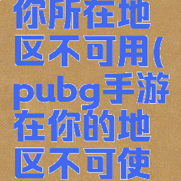 pubglite你所在地区不可用(pubg手游在你的地区不可使用)