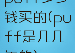 puff多少钱买的(puff是几几年的)