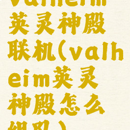 valheim英灵神殿联机(valheim英灵神殿怎么组队)