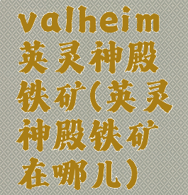 valheim英灵神殿铁矿(英灵神殿铁矿在哪儿)