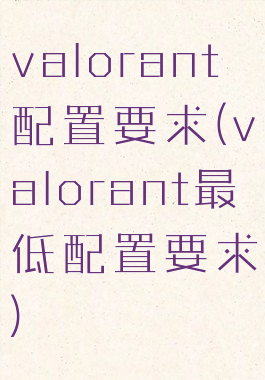 valorant配置要求(valorant最低配置要求)